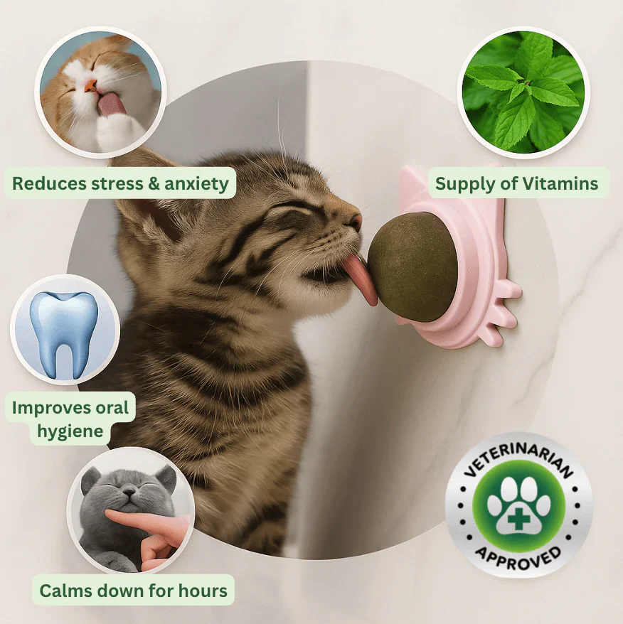 Catnip therapy ball (Buy one Get one) - Image 3
