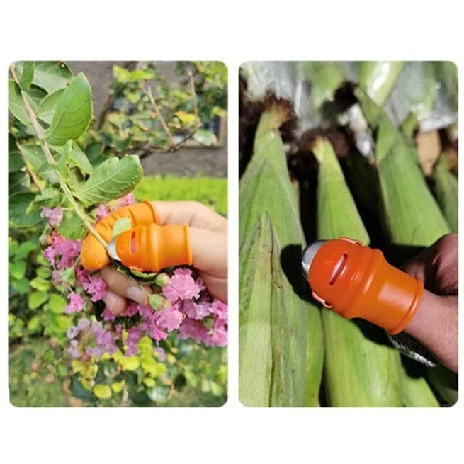 Premium Thumb Knife - Image 4